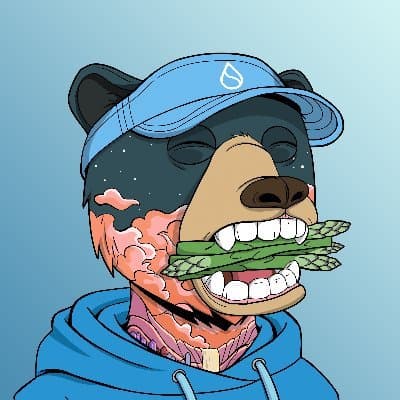 Sui Bears
